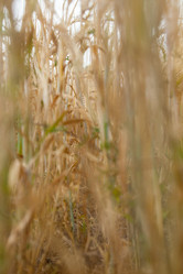 Similar image 10442599