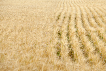 Similar image 10442600