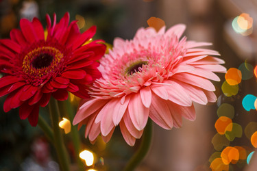 Similar image 10442604