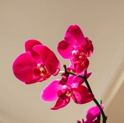 Similar image 10442607