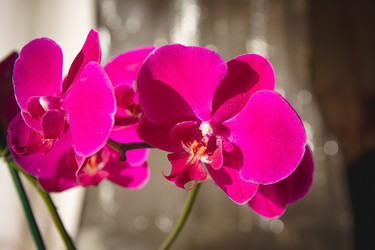 Similar image 10442609