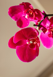 Similar image 10442610