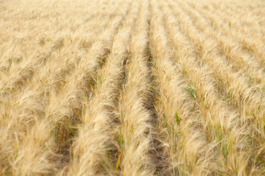 Similar image 10442611