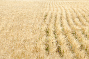 Similar image 10442612