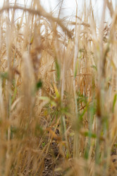 Similar image 10442613