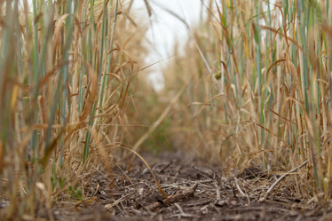 Similar image 10442614