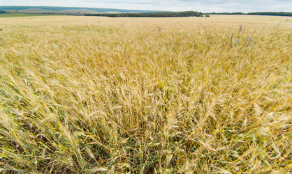 Similar image 10442615