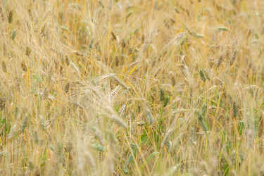 Similar image 10442616