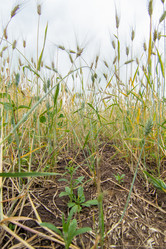 Similar image 10442618