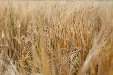 Similar image 10442619