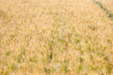 Similar image 10442621