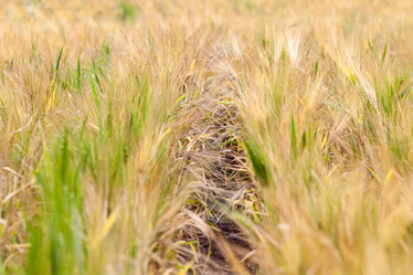 Similar image 10442622