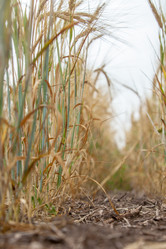 Similar image 10442623