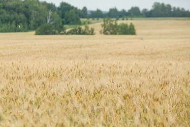 Similar image 10442625