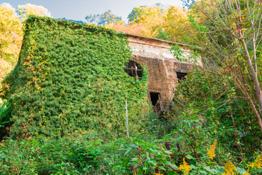 Similar image 10442737