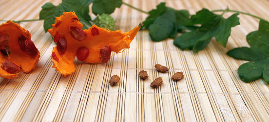 Similar image 10442802