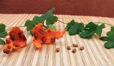 Similar image 10442803