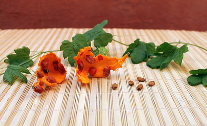 Similar image 10442820