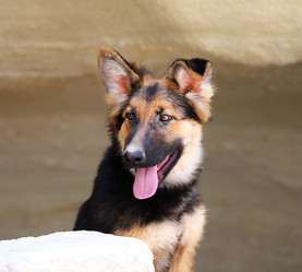 Similar image 10442824