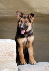 Similar image 10442826