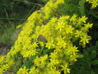 Similar image 10442920