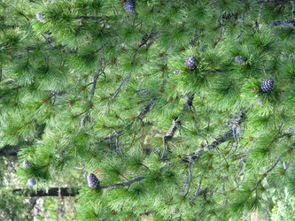 Similar image 10442921