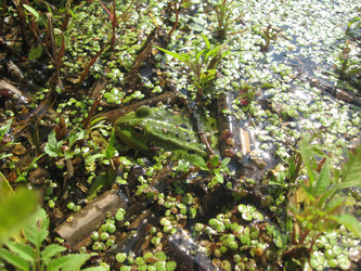 Similar image 10442922