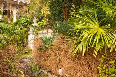 Similar image 10442952