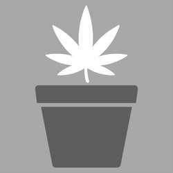 Similar image 10442989