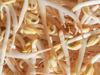 Similar image 10443182