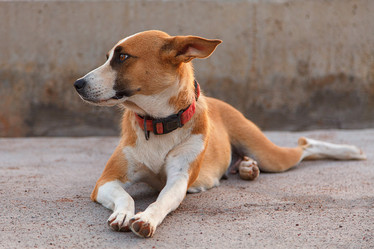 Similar image 10443343