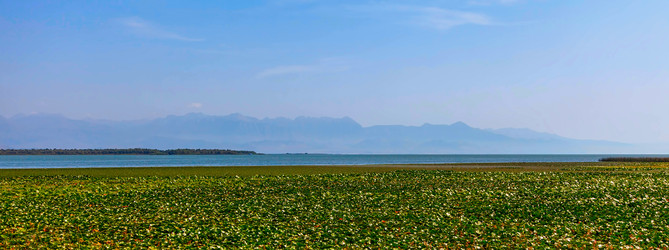 Similar image 10443346