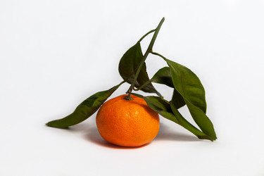 Similar image 10443347