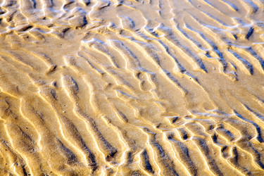 Similar image 10443592