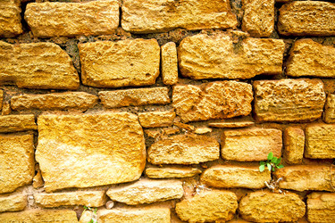 Similar image 10443605