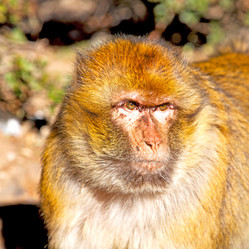 Similar image 10443659