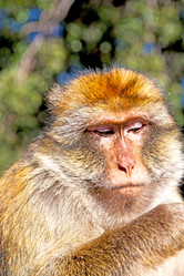 Similar image 10443664