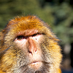 Similar image 10443669