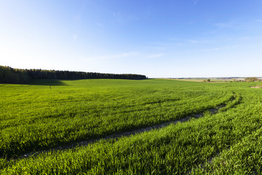 Similar image 10443756