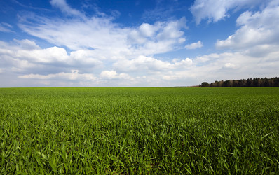 Similar image 10443782