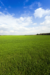 Similar image 10443785