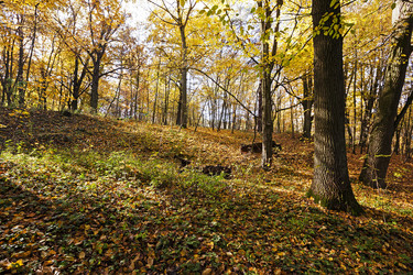 Similar image 10443793