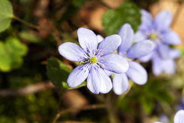 Similar image 10443798