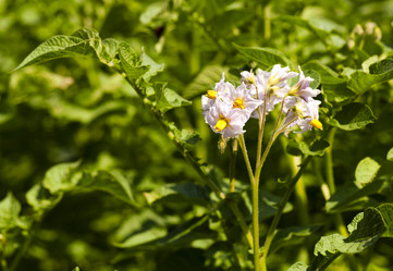 Similar image 10443825