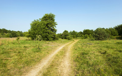 Similar image 10443828