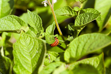 Similar image 10443831