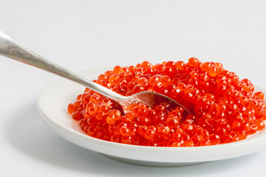 Similar image 10443851