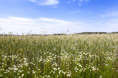 Similar image 10443877