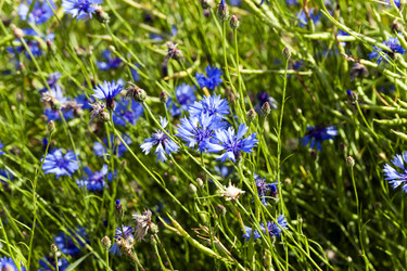 Similar image 10443880