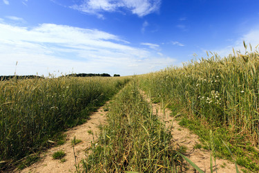 Similar image 10443893